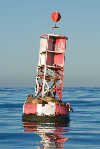 Buoy and Anchor Handling