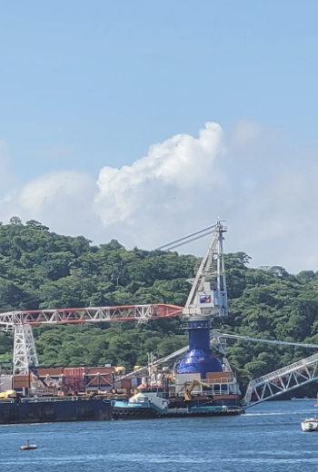 Survey Work and UXO Control Stingray (1)